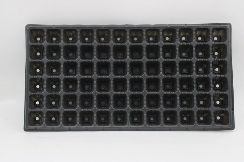 Sadbovač Strend Pro, na priesady, 3,7x3,7x4,5 cm, 72 priesad, štvorec