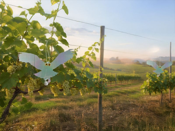 Plašič vtákov Strend Pro, orol, bal 2ks 2