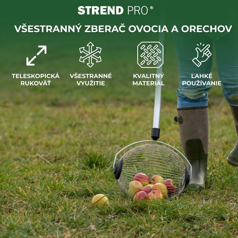 Zberač Strend Pro OD-50206, na orechy a ovocie s ALU teleskopickou násadou 80-120 cm 7