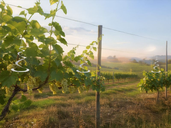 Plašič vtákov Strend Pro, špirála, bal. 3ks 2