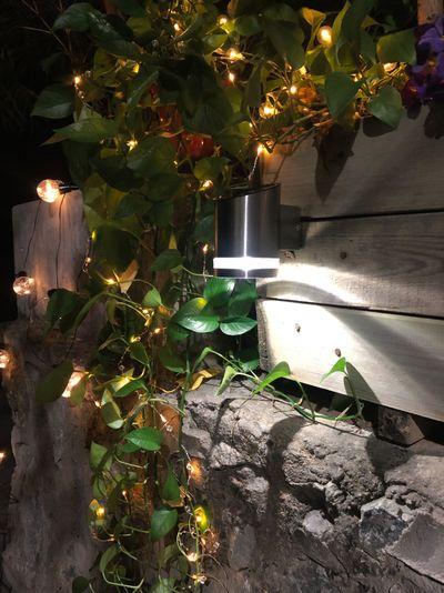 Lampa Strend Pro Garden, solárna, LED svietidlo na stenu/plot, 9x12x14 cm