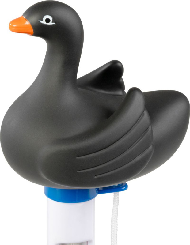 Teplomer Strend Pro, plávajúci, Čierna labuť, bazénový 1