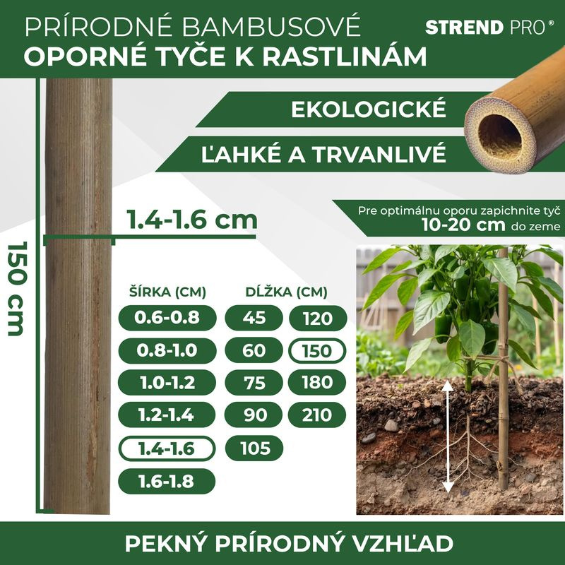Tyč Garden KBT 1500/14-16 mm, bal. 10 ks, bambus, oporná k rastlinám 2