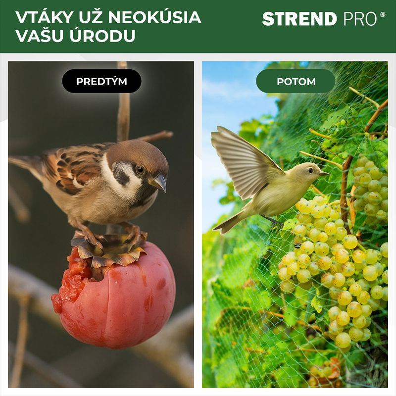 Sieť Strend Pro, 2x10 m, oko 18 mm, proti vtákom, PE 2