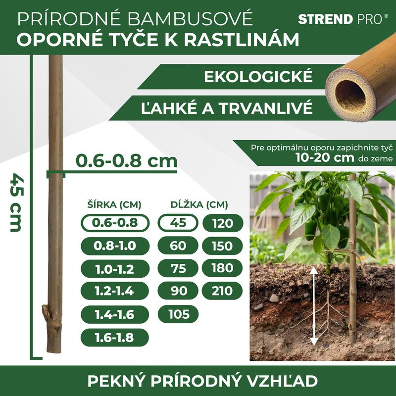 Tyč Garden KBT 450/6-8 mm, bal. 10 ks, bambus, oporná k rastlinám 2