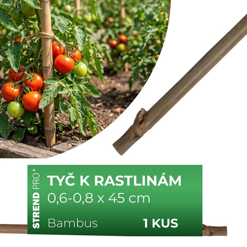 Tyč Garden KBT 450/6-8 mm, bal. 10 ks, bambus, oporná k rastlinám 1