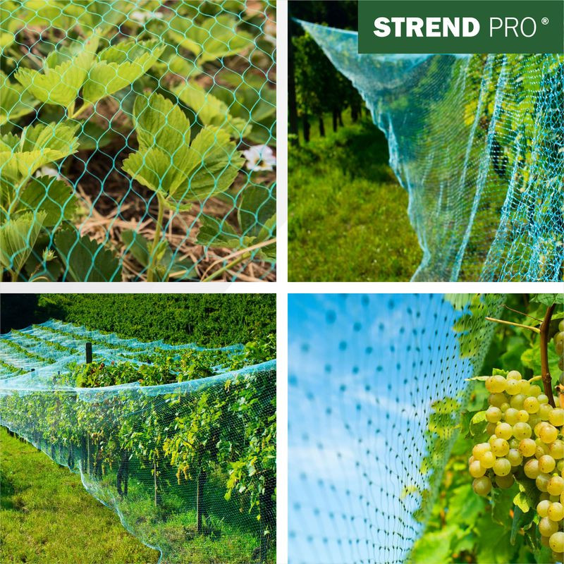 Sieť Strend Pro, 2x10 m, oko 18 mm, proti vtákom, PE 5