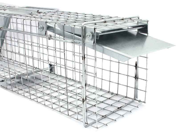 Pasca na kuny, potkany a norky, 65x17x20cm, dvojvchodová, XL-TOOLS 2