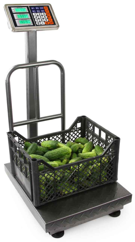 Plošinová digitálna váha do 300 kg, plocha váženia 40 x 50 cm, DAKOTA 9