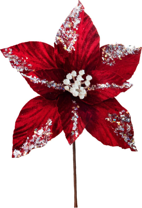 Kvet MagicHome Vianoce, poinsettia, burgundská červená, 20 cm, veľkosť kvetu: 21 cm