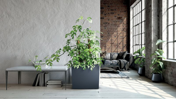 Kvetináč URBI Case 580x180x498 mm, sivý, vložka 3