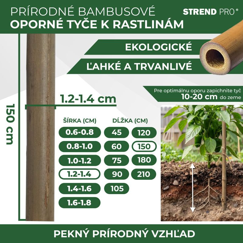 Tyč Garden KBT 1500/12-14 mm, bal. 10 ks, bambus, oporná k rastlinám 2