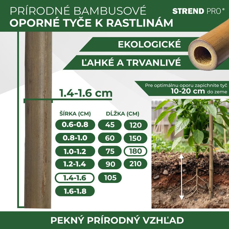 Tyč Garden KBT 1800/14-16 mm, bal. 10 ks, bambus, oporná k rastlinám 2