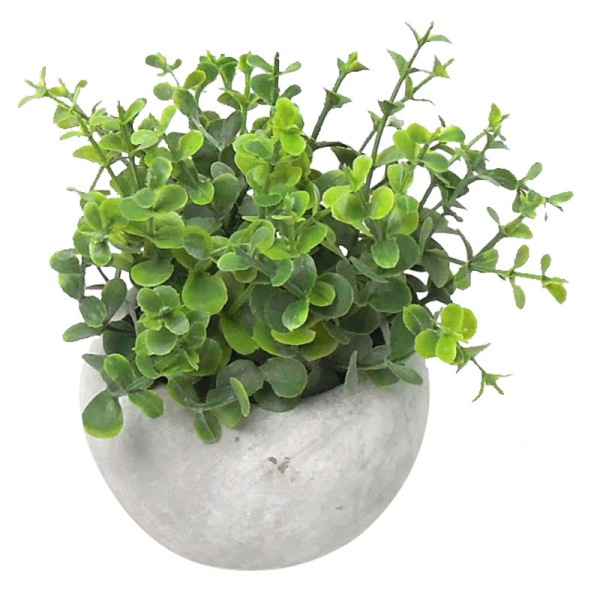 Oregano sukulent, MagicHome,, 15 cm, črepník- cement, umelá
