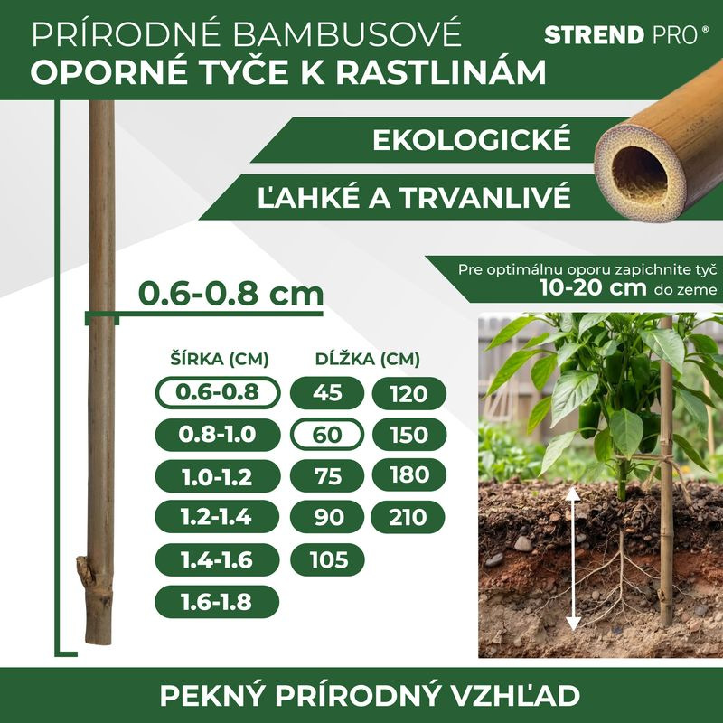Tyč Garden KBT 600/6-8 mm, bal. 10 ks, bambus, oporná k rastlinám 2