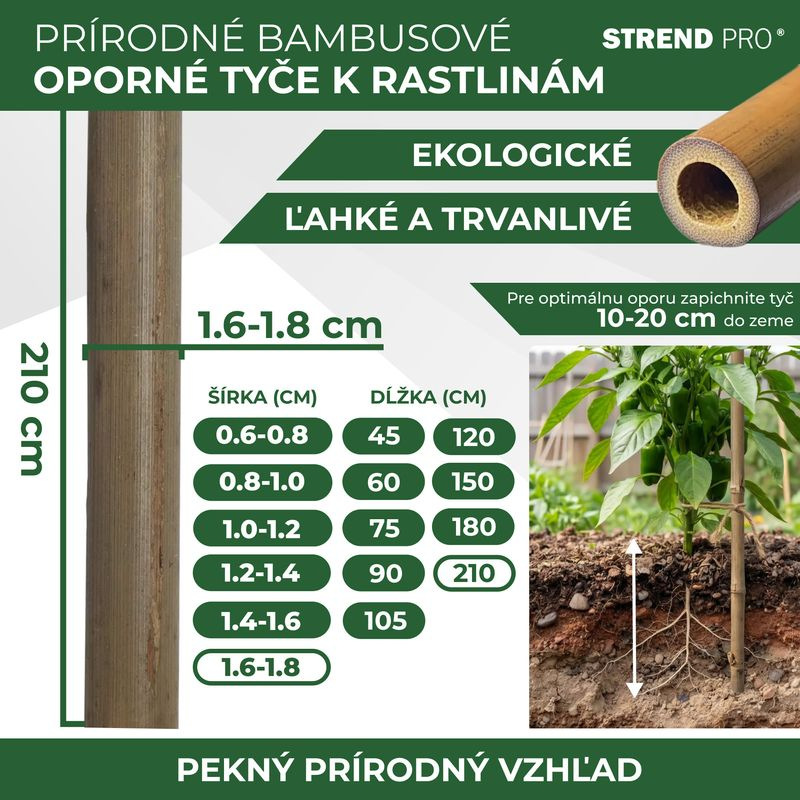 Tyč Garden KBT 2100/16-18 mm, bal. 10 ks, bambus, oporná k rastlinám 2