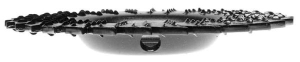 Pílový kotúč s rašpľou zapustený 125 x 3 x 22,2 mm TARPOL, T-64 1