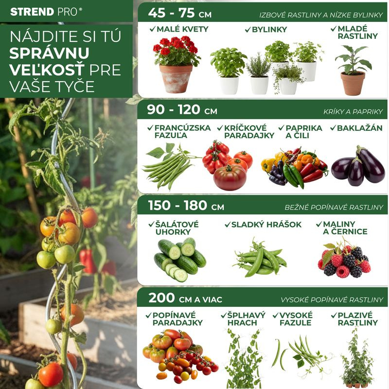 Tyč Garden SB 20/2100 mm, oceľ/plast, zelená, oporná k rastlinám a paradajkám 3