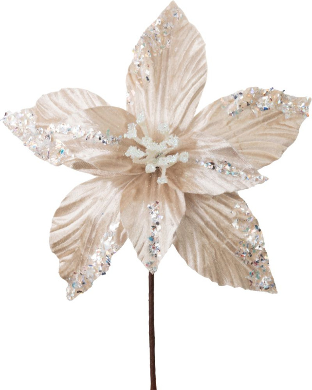 Kvet MagicHome Vianoce, poinsettia, champagne, 20 cm, veľkosť kvetu: 21 cm