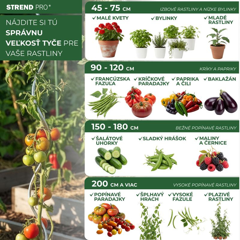 Tyč Garden SB 11/2100 mm, oceľ/plast, zelená, oporná k rastlinám a paradajkám 3