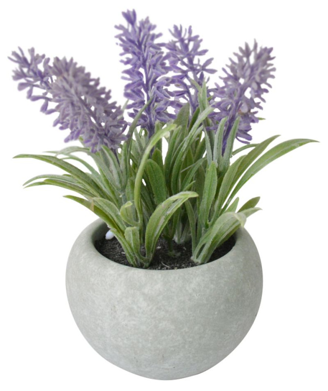 Levandula sukulent, MagicHome,17 cm, črepník- cement, umelá