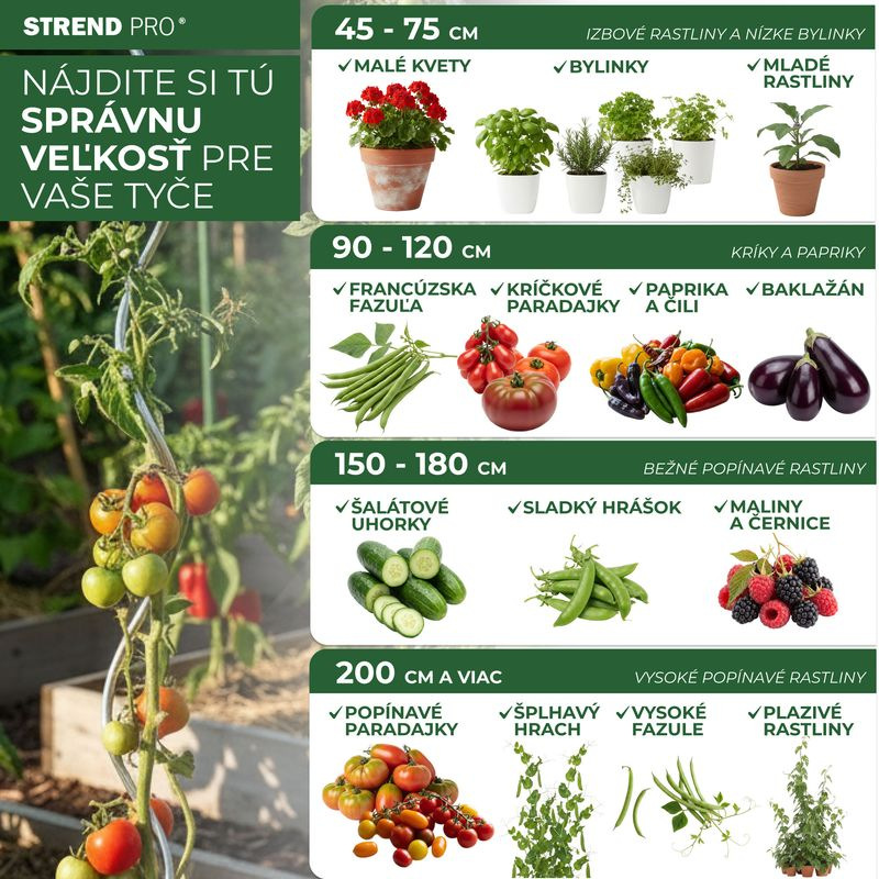 Tyč Garden SB 16/900 mm, oceľ/plast, zelená, oporná k rastlinám a paradajkám 3