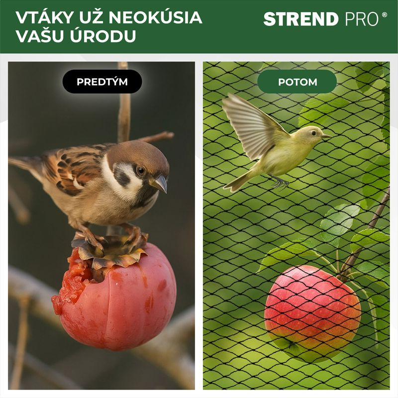Sieť Strend Pro, 4x10 m, oko 25 mm, proti vtákom, PE 2