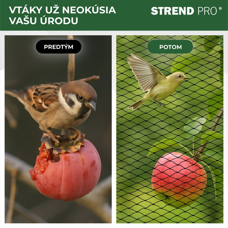 Sieť Strend Pro, 8x8 m, oko 25 mm, proti vtákom, PE 2