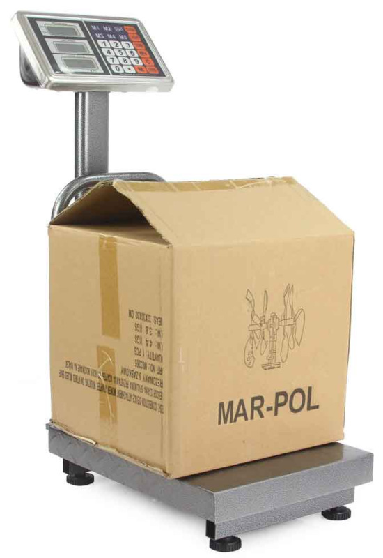 Plošinová digitálna váha do 150 kg, plocha váženia 30 x 40 cm, DAKOTA 4