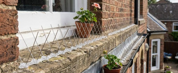 Zábrana Strend Pro, 40 hrotov, L-50 cm, PC UV, proti vtákom, PC base, hroty 1