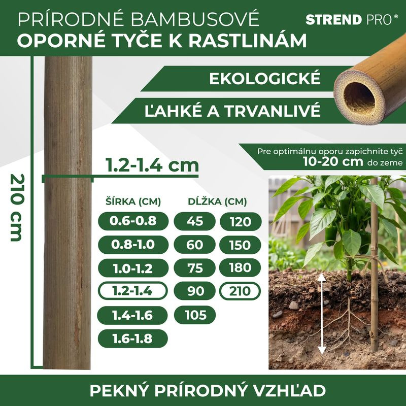 Tyč Garden KBT 2100/12-14 mm, bal. 10 ks, bambus, oporná k rastlinám 2