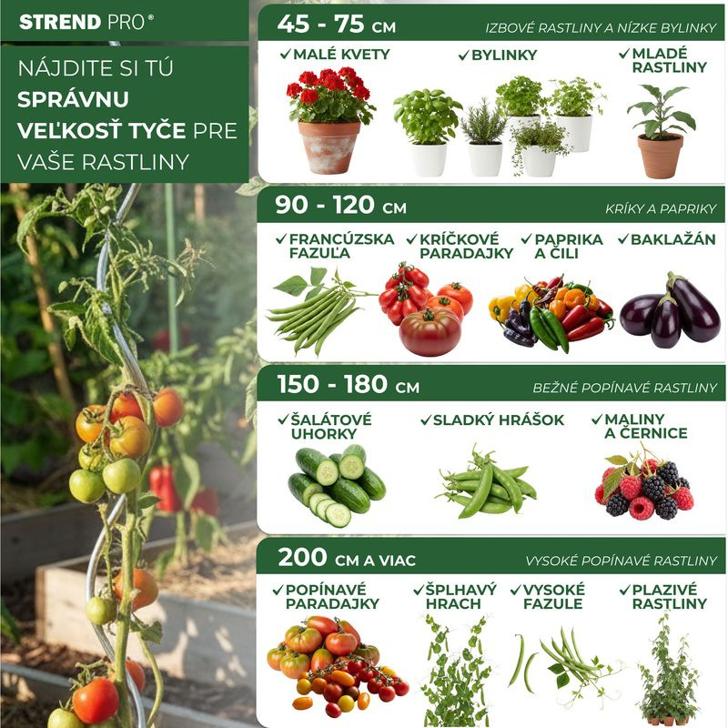 Tyč GS1 1800/6,5 mm, špirálová, drôtená Zn, oporná k rastlinám a paradajkám 3