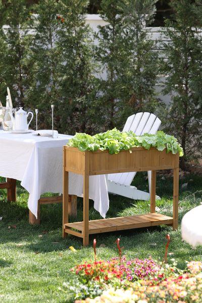 Záhon Strend Pro Garden, 89x33x76 cm, so spodnou policou, drevo, vyvýšený, s nohami 2