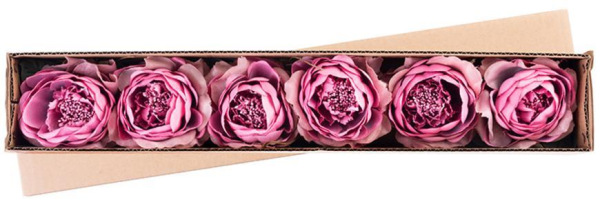 X Kvet MagicHome, ruža rozvitá, tmavoružová, stonka, veľkosť kvetu: 11 cm, dĺžka kvetu: 22 cm, bal. 1
