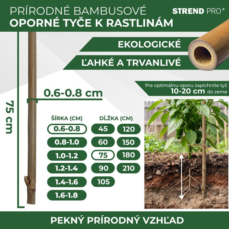 Tyč Garden KBT 750/6-8 mm, bal. 10 ks, bambus, oporná k rastlinám 2