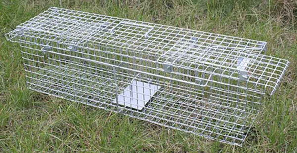 Pasca na kuny, potkany a norky, 65x17x20cm, dvojvchodová, XL-TOOLS 3