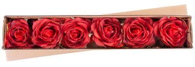 Kvet MagicHome, ruža, červená, stonka, veľkosť kvetu: 10 cm, dĺžka kvetu: 18 cm, bal. 6 ks